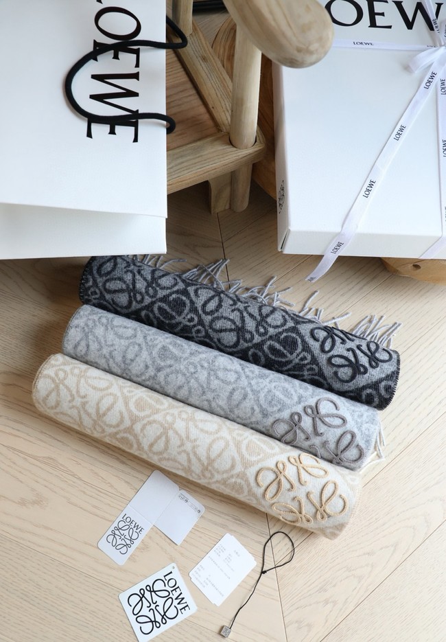 Loewe Cashmere Scarf 06383