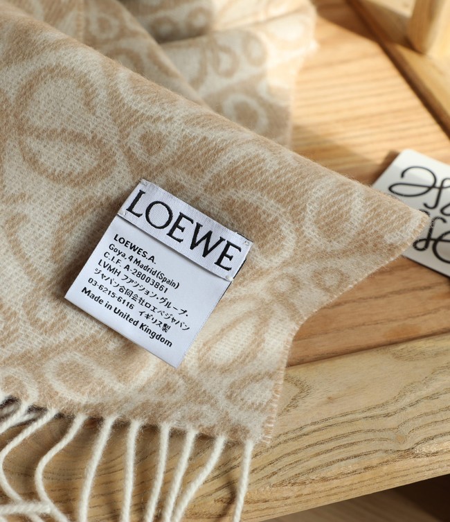 Loewe Cashmere Scarf 06383