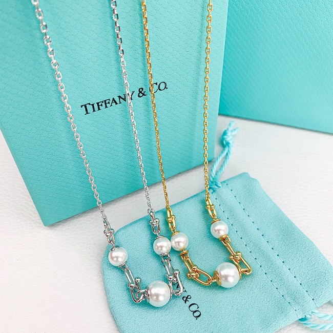 TIFFANY necklace&Earring CE81580