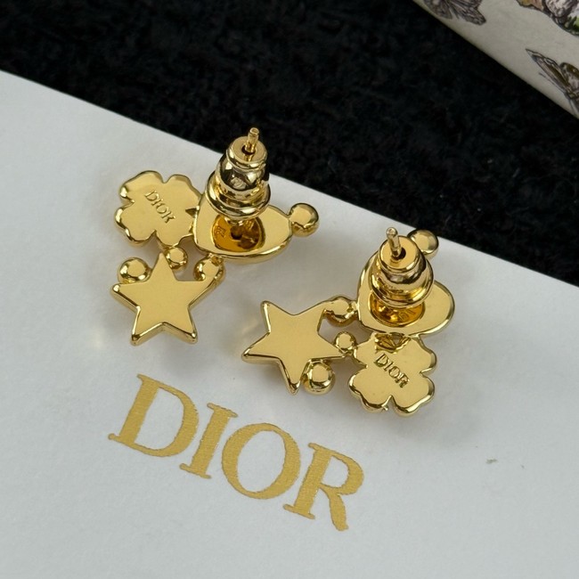 Dior Earring CE81596
