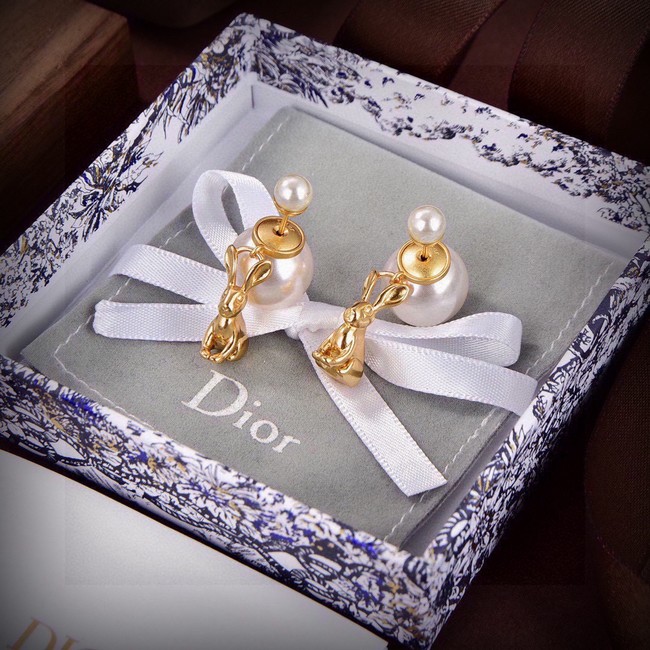 Dior Earring CE81677