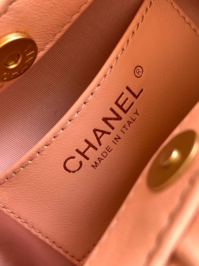 CHANEL Small Hobo Bag AS6022 pink