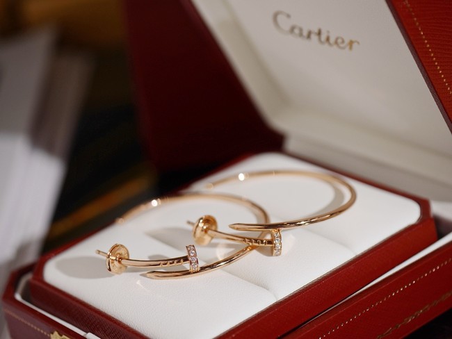 Cartier Earring CE81784