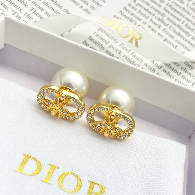 Dior Earring CE81809