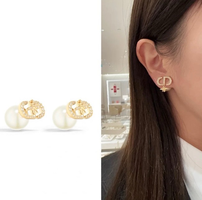 Dior Earring CE81809