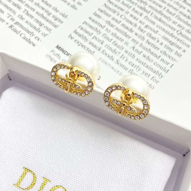 Dior Earring CE81809
