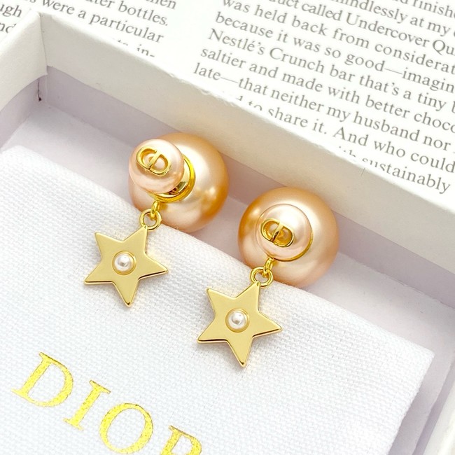 Dior Earring CE81813