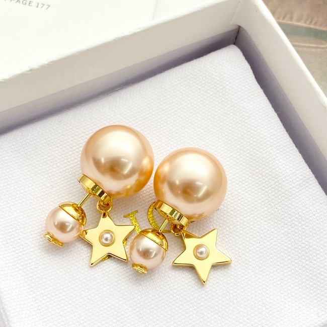 Dior Earring CE81813