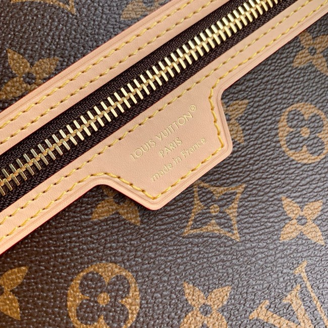 Louis Vuitton Lineup M27335 brown