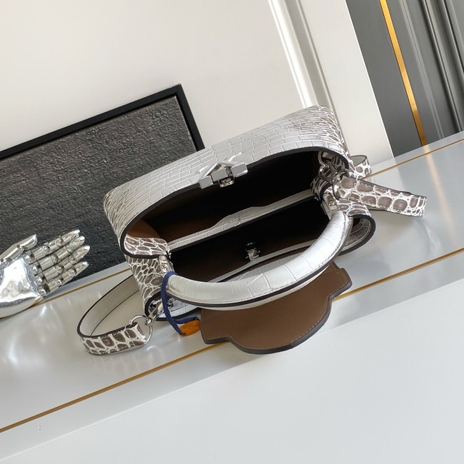 Louis Vuitton Capucines BB M98177 light gray