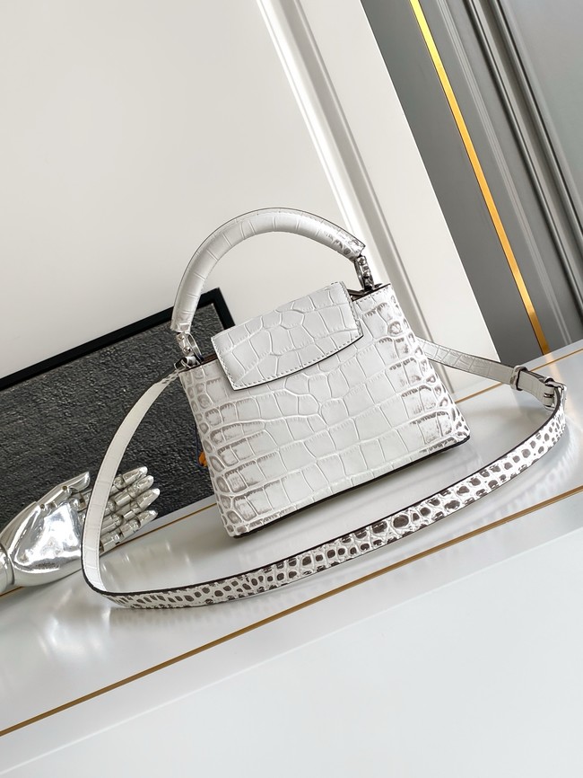 Louis Vuitton Capucines MINI M98156 light gray