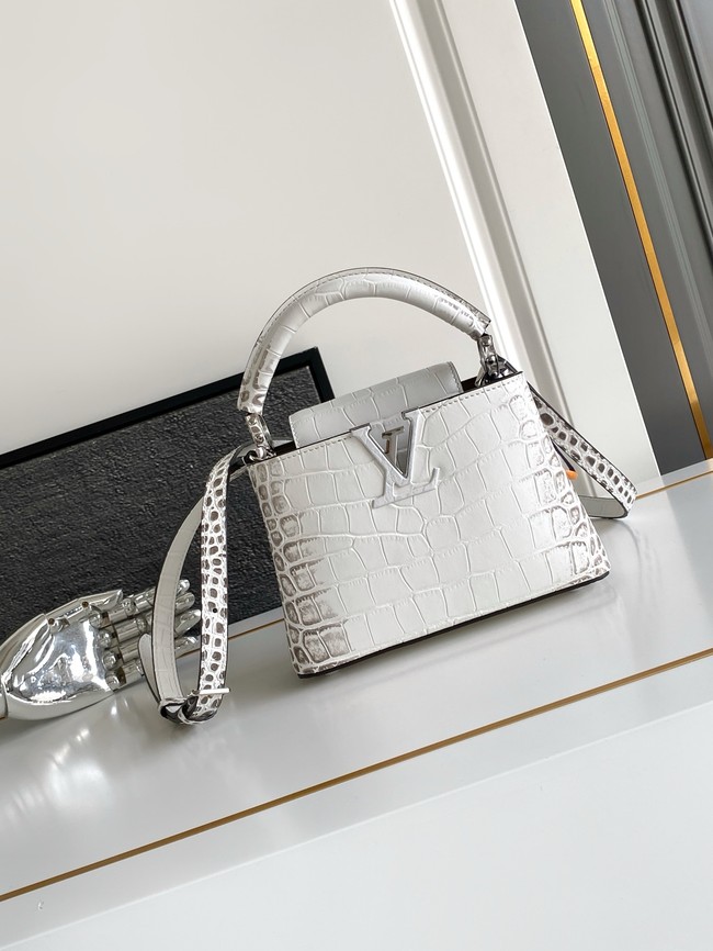 Louis Vuitton Capucines MINI M98156 light gray