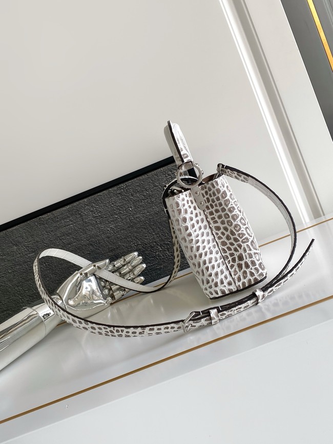Louis Vuitton Capucines MINI M98156 light gray