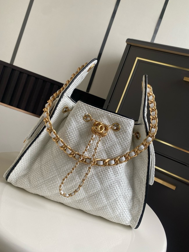 CHANEL 25 Small Handbag Printed Fabric AS5293 white