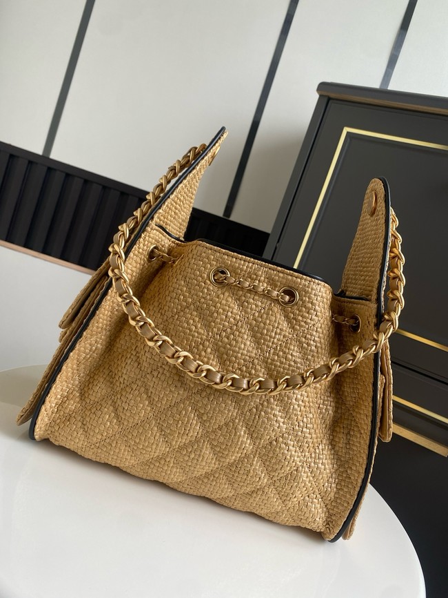 CHANEL 25 Small Handbag Printed Fabric AS5293 brown