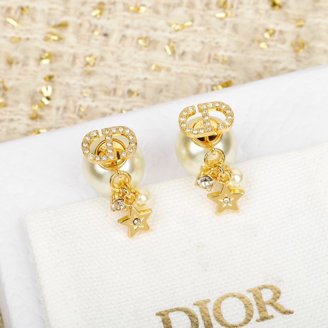 Dior Earring CE81877