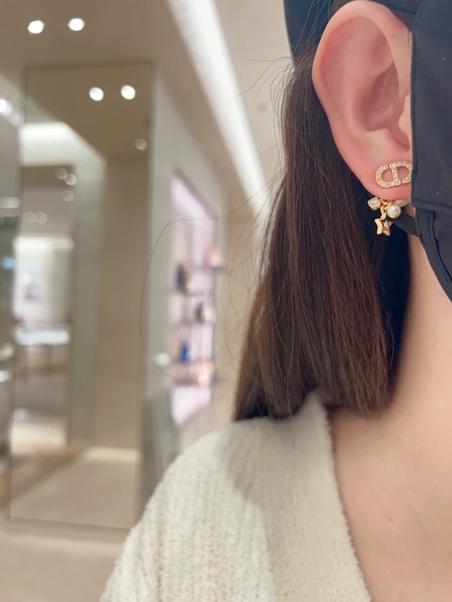 Dior Earring CE81877