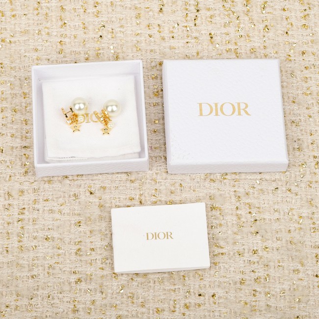 Dior Earring CE81877