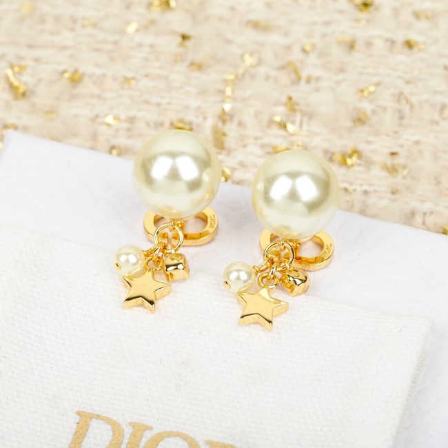 Dior Earring CE81877
