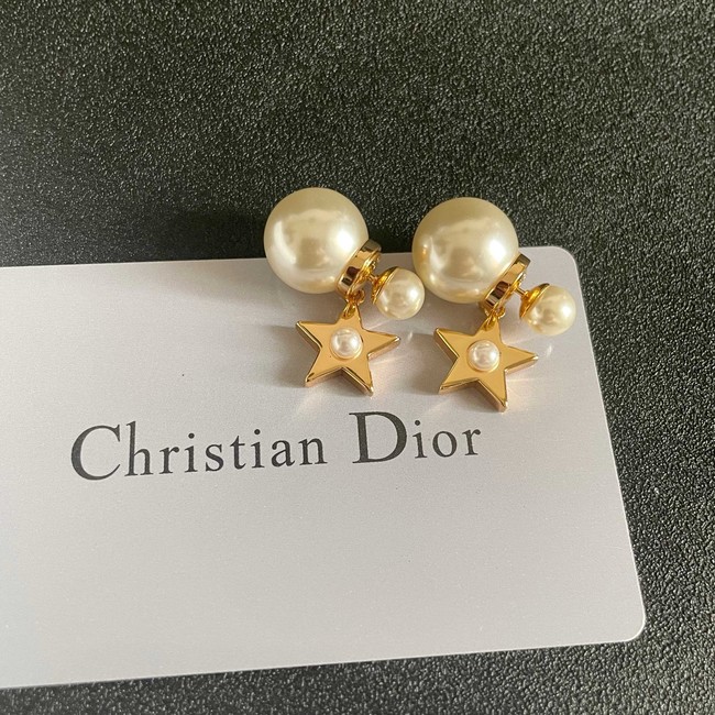 Dior Earring CE81957