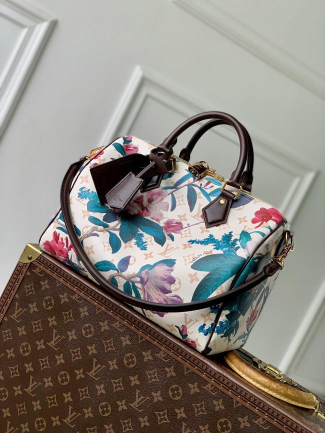 Louis Vuitton NEW Speedy Soft 30 M29066