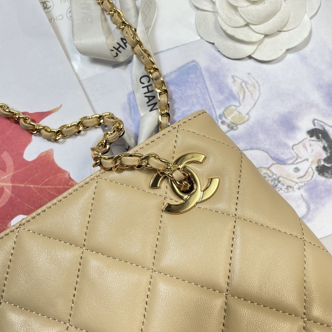 CHANEL Small Tote Lambskin AS6248 apricot