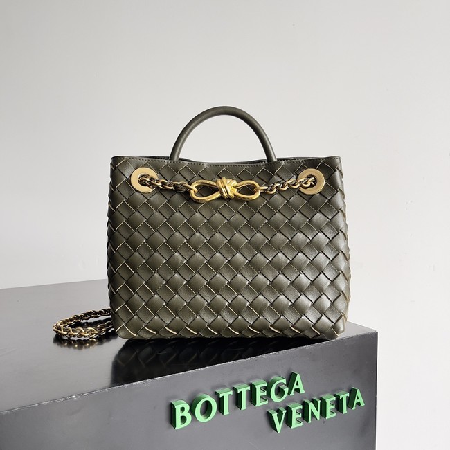 Bottega Veneta Small Andiamo 766014 Pickle