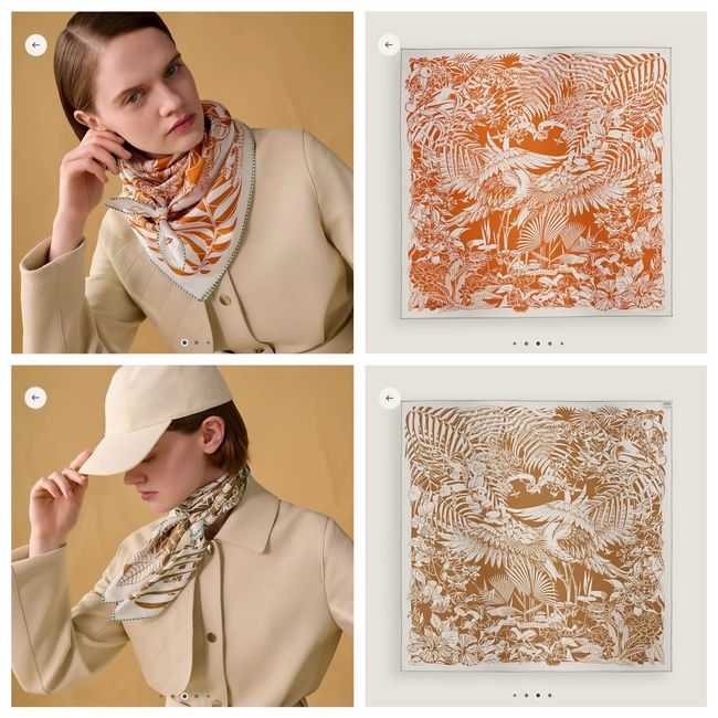 Hermes cashmere Shawl H36117-3