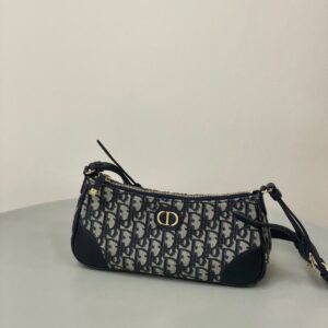 DIOR30 Montaigne Wanderlust Mini Bag