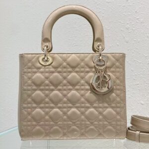 Medium Lady Dior Bag
