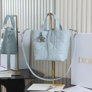 Dior Toujours Small Vertical HandBag
